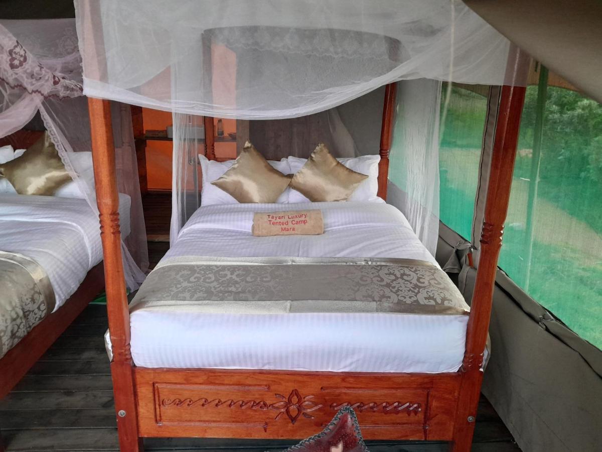 Tayari Luxury Tented Camp - Mara Sekenani Buitenkant foto